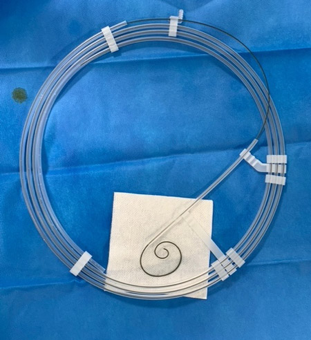 Preshaped LV guidewire