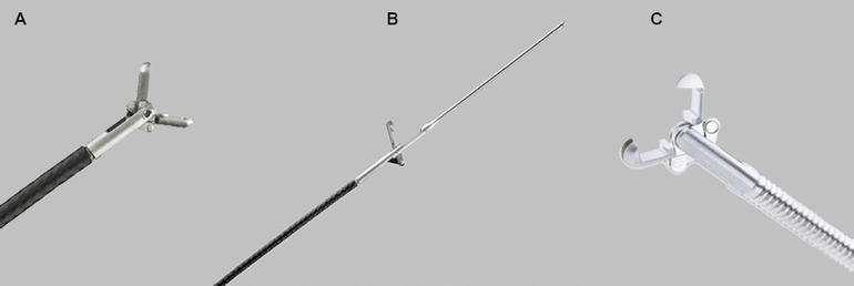 Forceps illustration