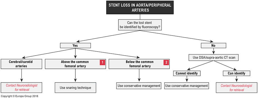 Stent loss in aorta/peripheral circulation