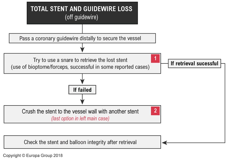 Total stent and guidewire loss