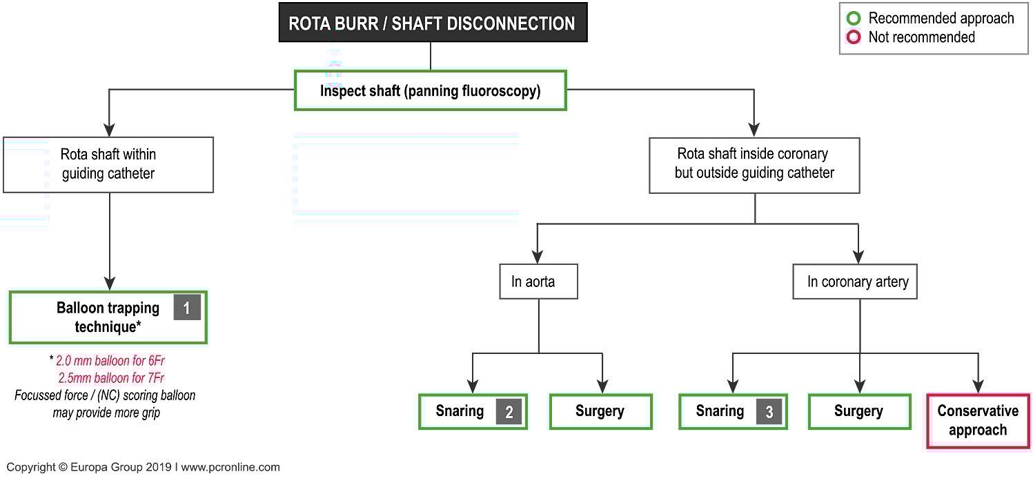 Rota burr