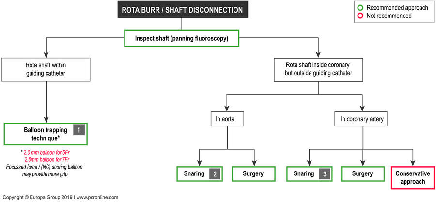 Rota burr