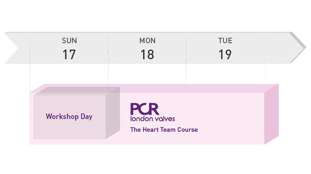 PCR London Valves 2019 - Course Structure