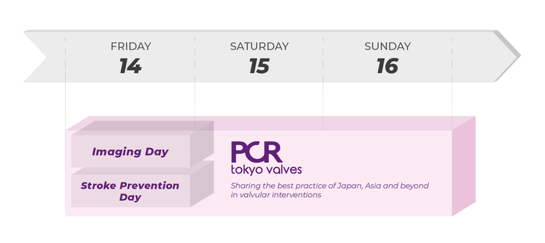 PCR Tokyo Valves - Course Structure