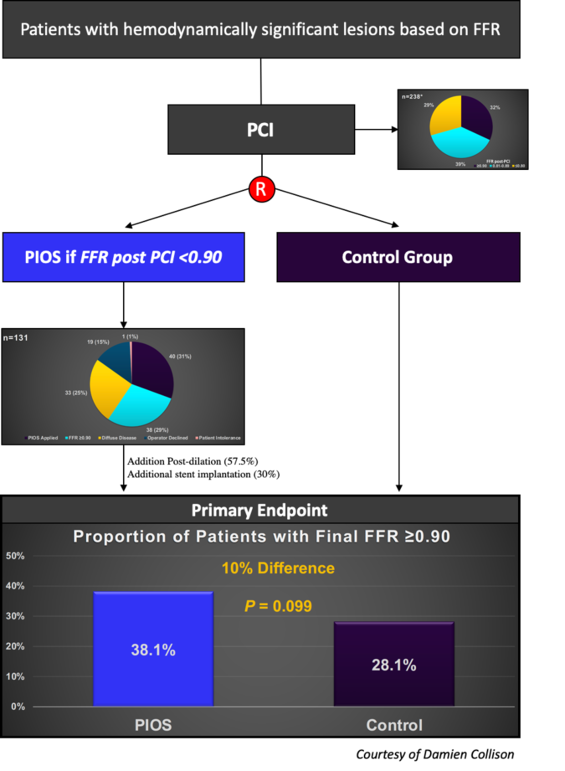 TARGET FFR study