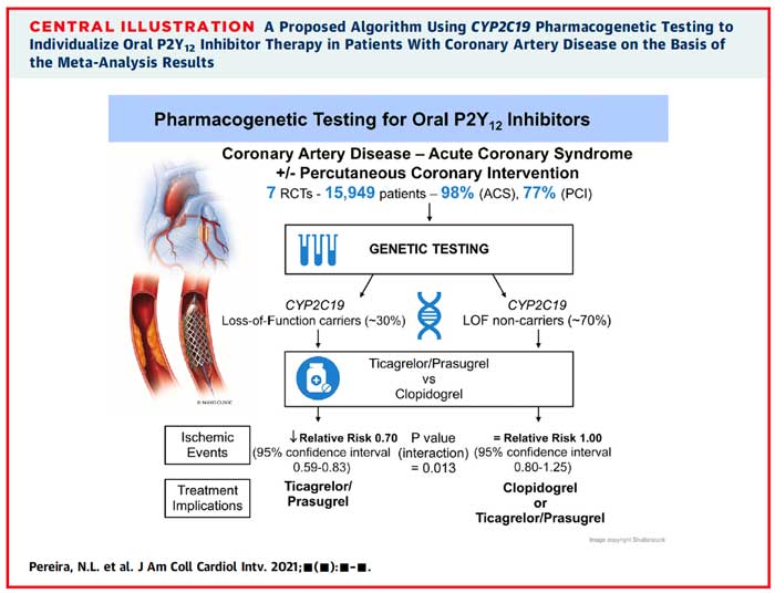 Effect of CYP2C19 genotype on ischemic outcomes during oral P2Y12 inhibitor therapy: a meta-analysis