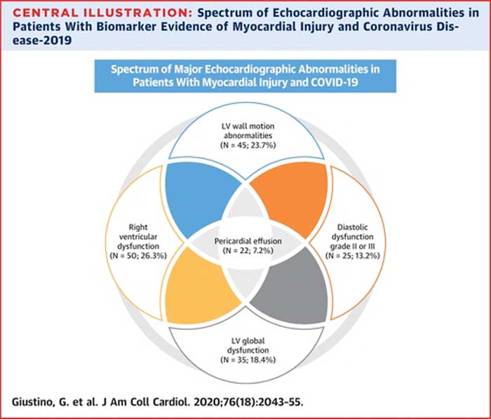 Spectrum of Echocardiographic Abnormalities in Patients With Biomarker Evidence of Myocardial Injury and Coronavirus Disease-2019 