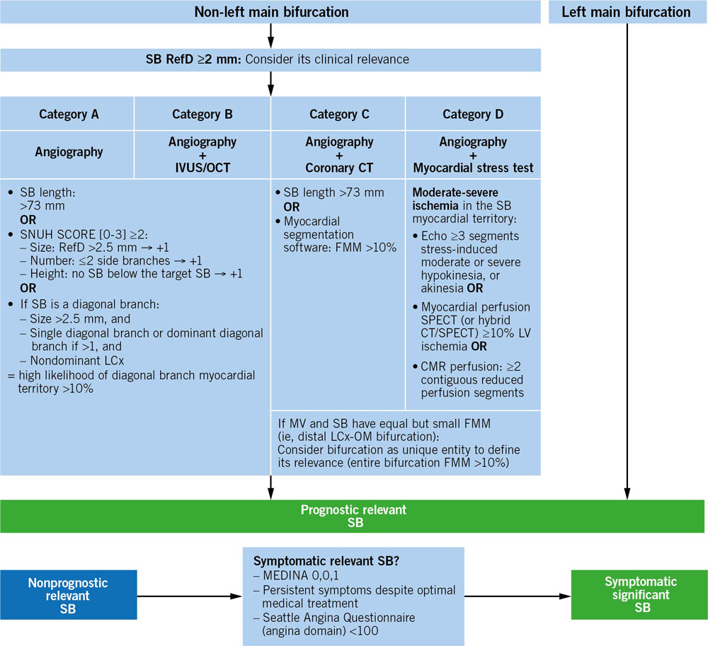 Figure 3. Algorithm to determine the lesion eligibility according to the sb relevance