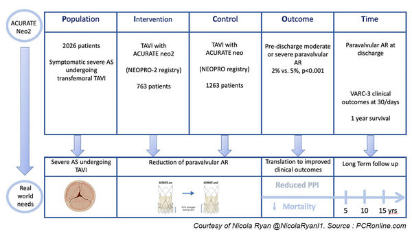 Haemodynamic performance and clinical outcomes of transcatheter aortic valve replacement with the self-expanding ACURATE neo2
