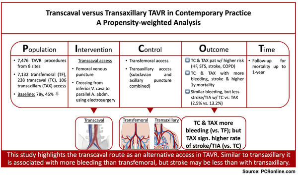 Transcaval versus transaxillary TAVR in contemporary practice - a propensity-weighted analysis
