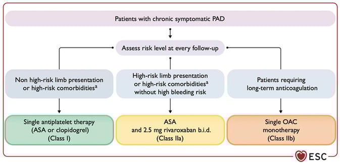 ESC Guidelines: Recommendations for antithrombotic therapy in patients with PAD