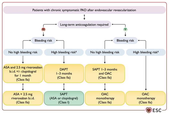 ESC Guidelines: Recommendations for antithrombotic therapy in patients with PAD