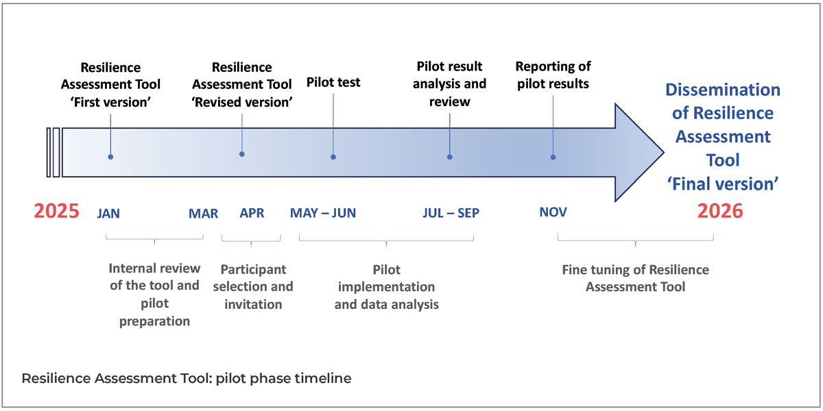 Resilience Assessment Tool: pilot phase timeline