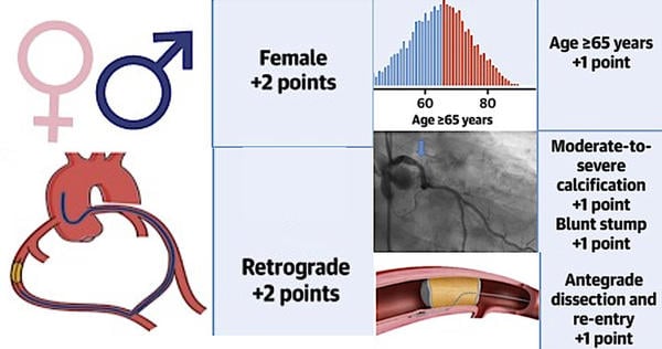 INVEST-CTO: Figure 2: PROGRESS CTO complication risk score