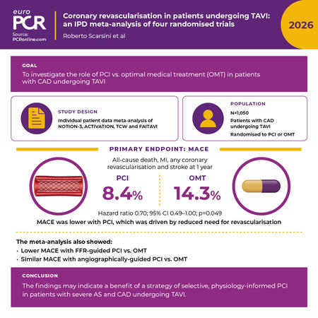 Coronary revascularisation in patients undergoing TAVI: an IPD meta-analysis of four randomized trials
