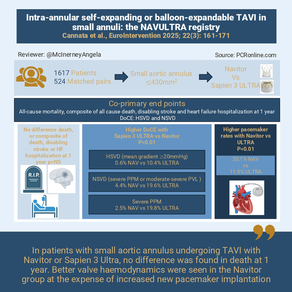 Intra-annular self-expanding or balloon-expandable TAVI in small annuli the NAVULTRA registry
