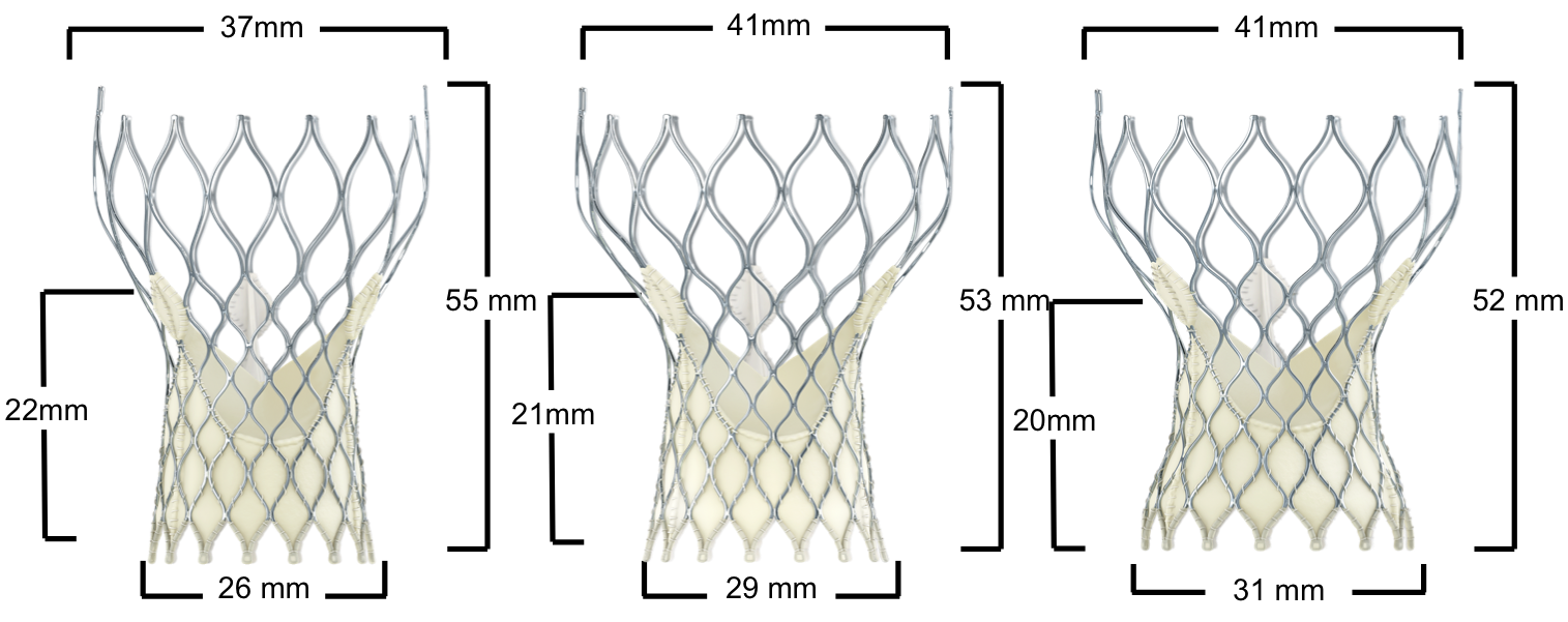 Figure 10. Medtronic CoreValve Transcatheter Aortic Valve Dimensions