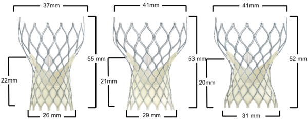 Figure 10. Medtronic CoreValve Transcatheter Aortic Valve Dimensions