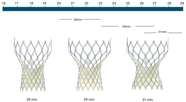 Figure 11. Medtronic CoreValve Transcatheter Aortic Valve native annulus diameter