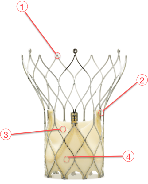 Portico™ aortic valve