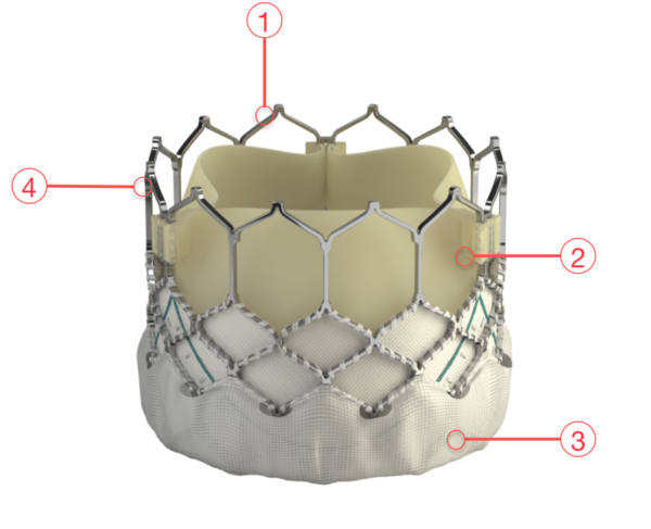 Figure 71. Edwards SAPIEN 3 Transcatheter Heart Valve