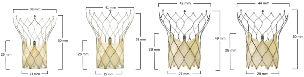 Portico™ aortic valve