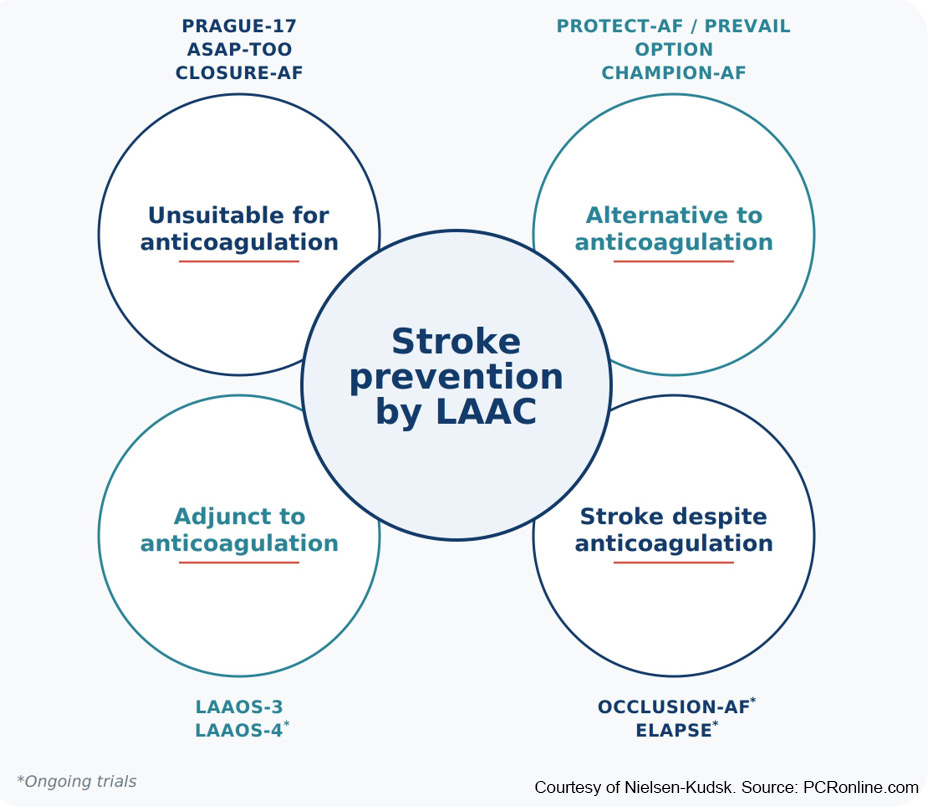 Evidence for stroke prevention by left atrial appendage closure (LAAC)