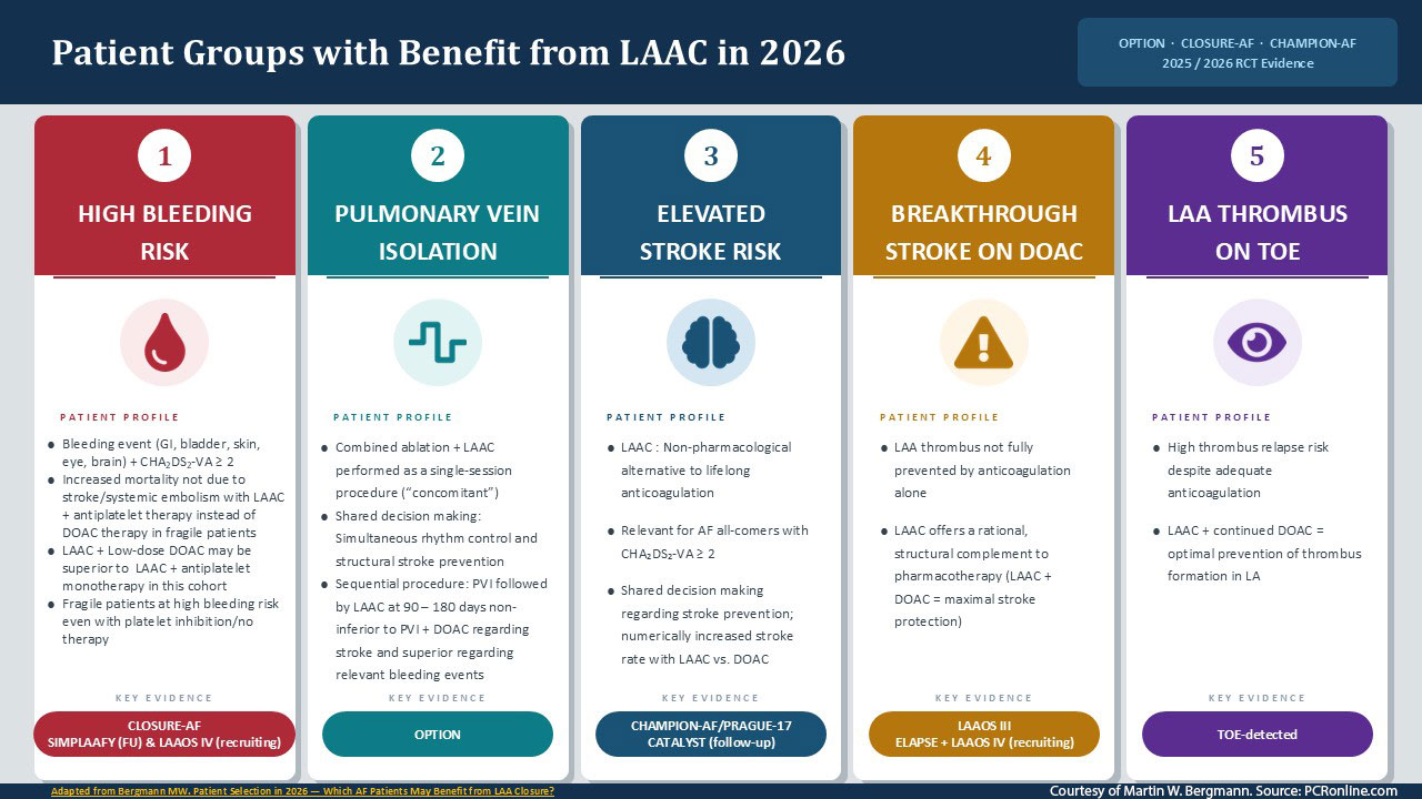 Which-AF-Patients-May-Benefit-from-LAA-Closure-Figure