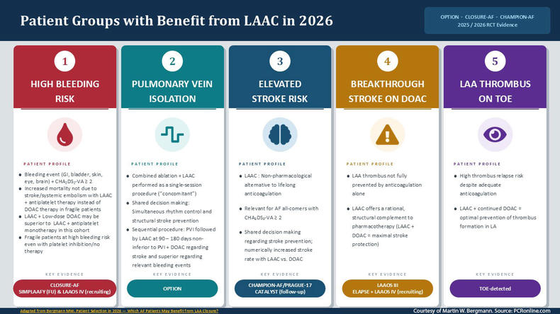 Which-AF-Patients-May-Benefit-from-LAA-Closure-Figure
