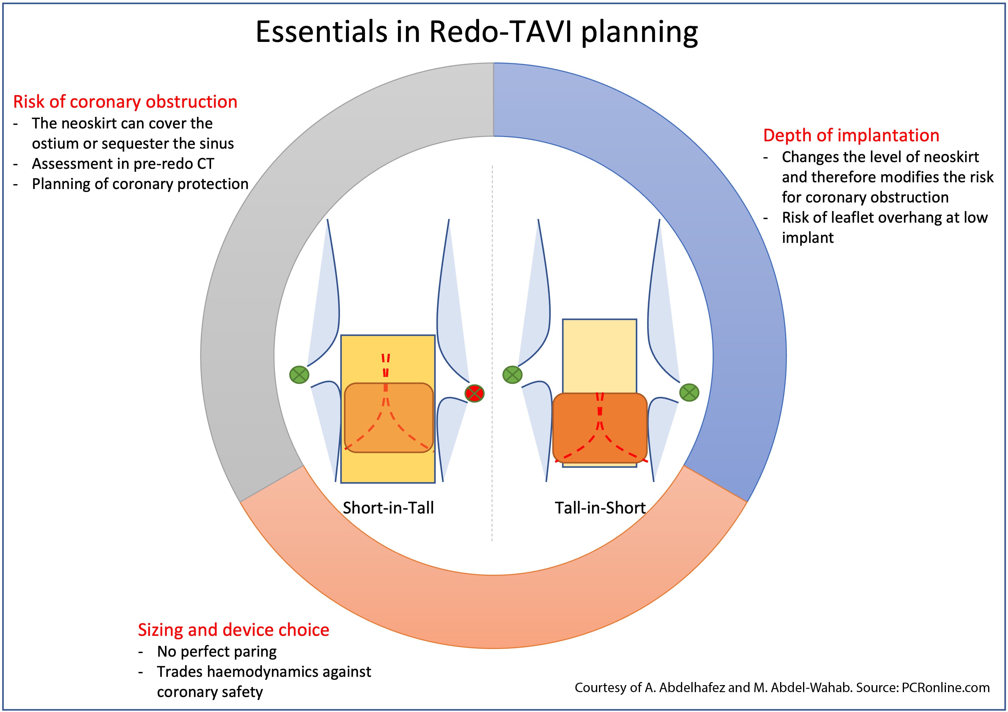 Essentials in Red TAVI