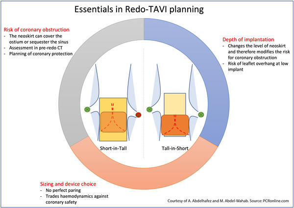 Essentials in Red TAVI