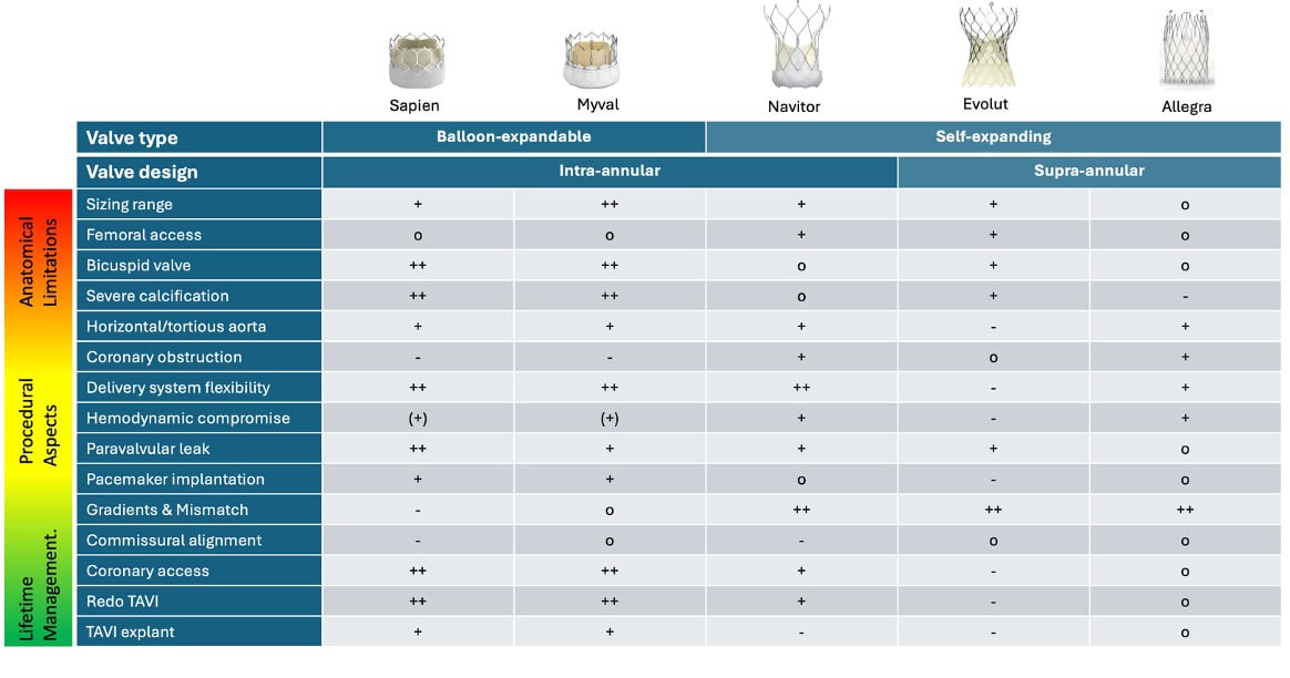 Valve Choice for TAVI: Pros and Cons for Intra- and Supra-annular Prostheses