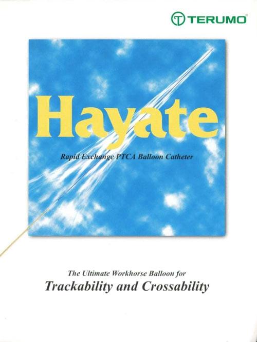 Hayate By Terumo (1999) 