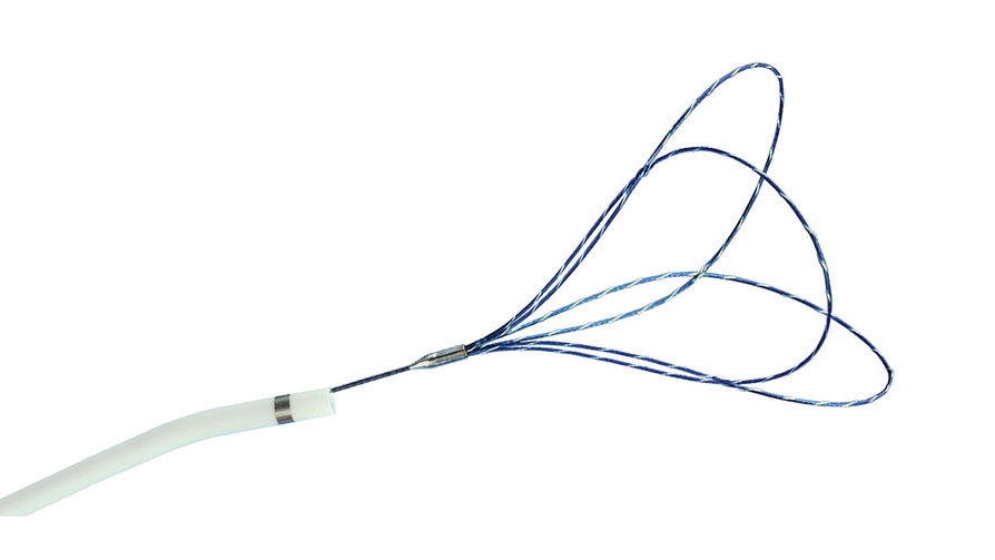 EN Snare Endovascular Snare System