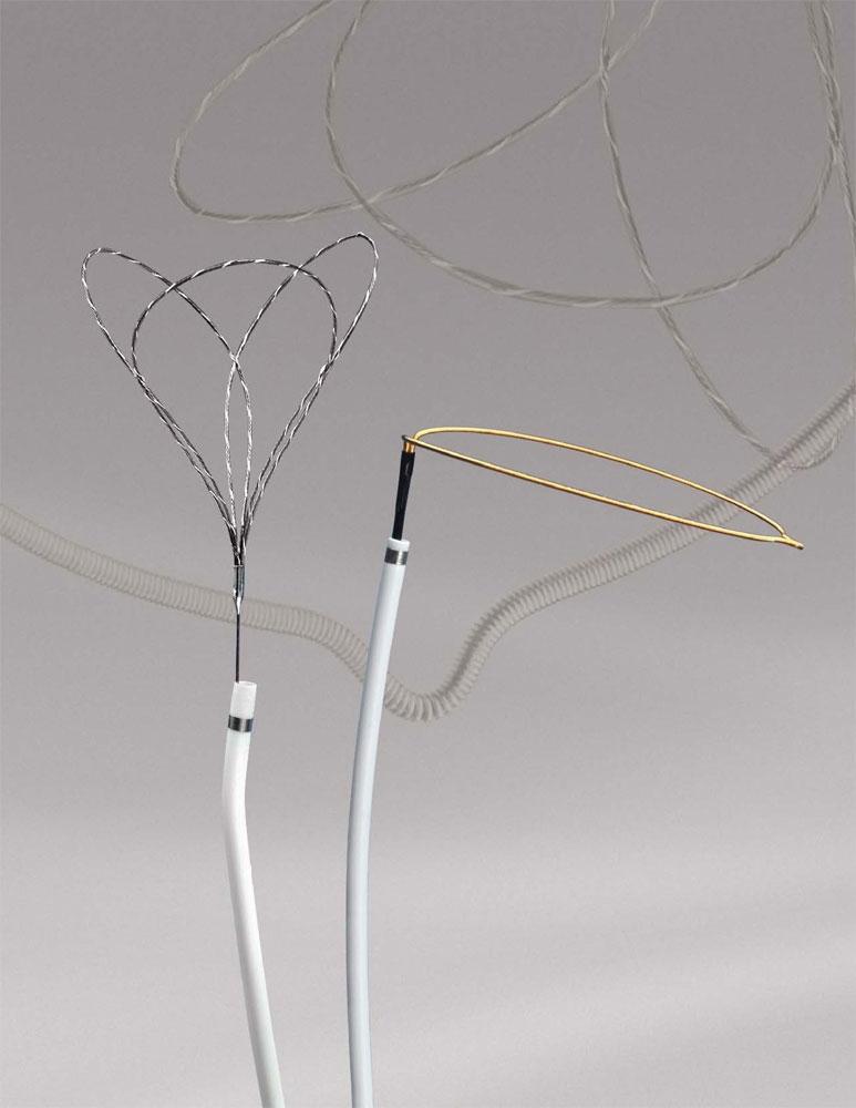 EN Snare Endovascular Snare System
