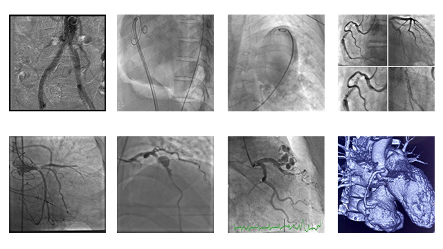 An image is worth a 1,000 words - EuroPCR 2022