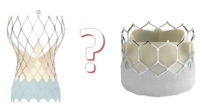 TAVI outcomes outside the cathlab – Importance of haemodynamics and durability
