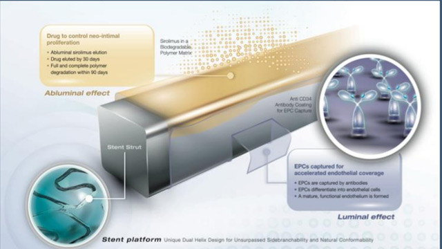 Why you should treat your PCI patients with the COMBO Plus stent – Insight from clinical-based evidence