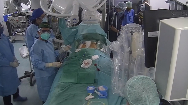 New horizons in tricuspid therapy, the TricValve solution