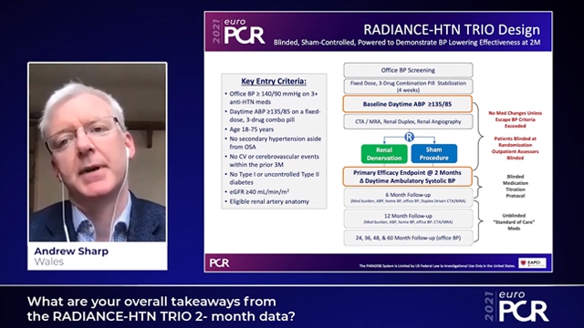 RADIANCE-HTN TRIO: key takeaways and implications for the treatment of hypertension