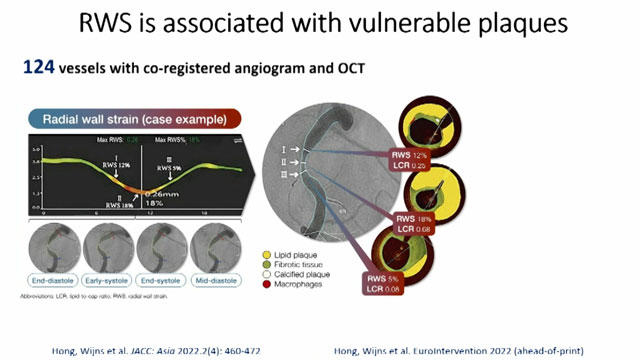 All you need to know on physiology: a 2023 update