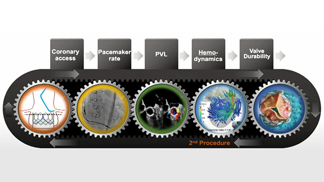 TAVI in 2022 - Lifetime management, durability and clinical relevance to patients
