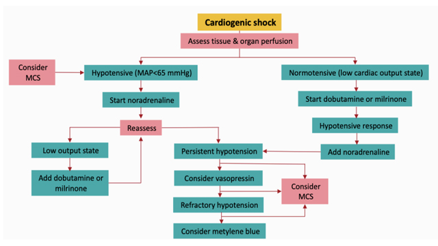 Learning - Cardiogenic shock