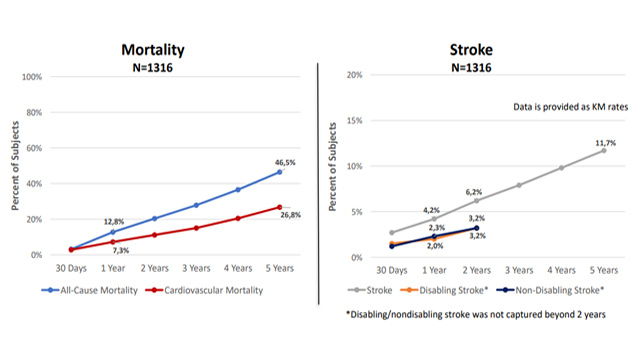TAVI - Durability and long-term outcomes