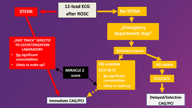 Hot topics in interventional management of out-of-hospital cardiac arrest (OHCA)