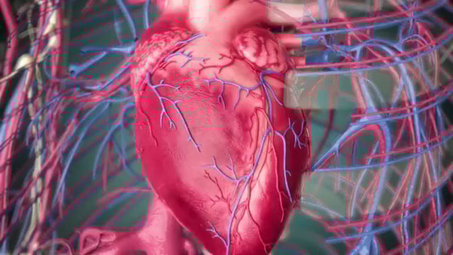 Hotline: New Coronary Devices Unveiled