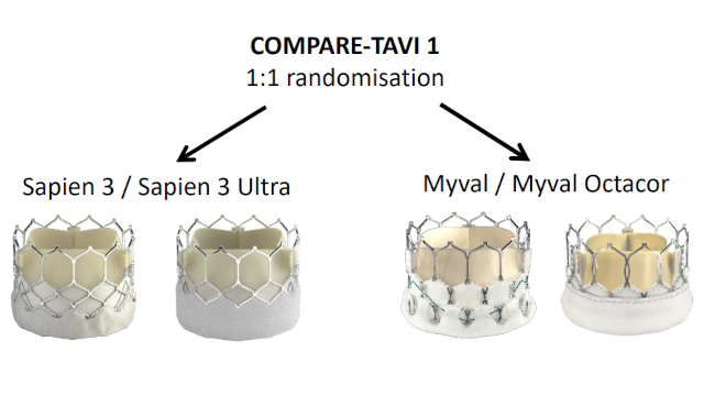Featured research - Aortic valve (Part 10)