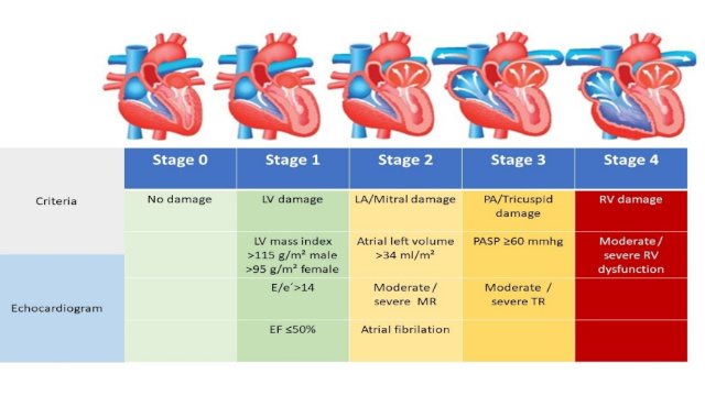 TAVI optimisation
