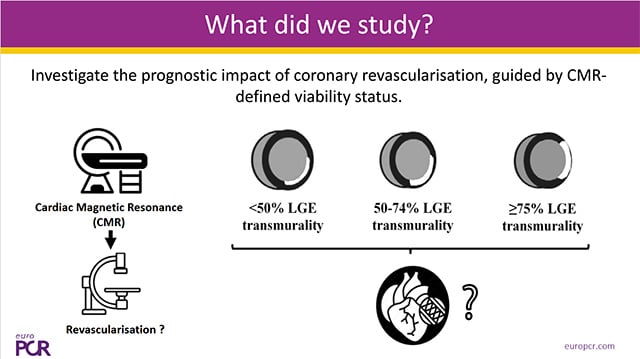 Anatomy, physiology and clinical judgment: insights from contemporary strategies to guide PCI