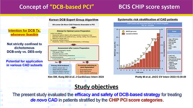 DCB PCI: are we ready for complex de novo lesions?